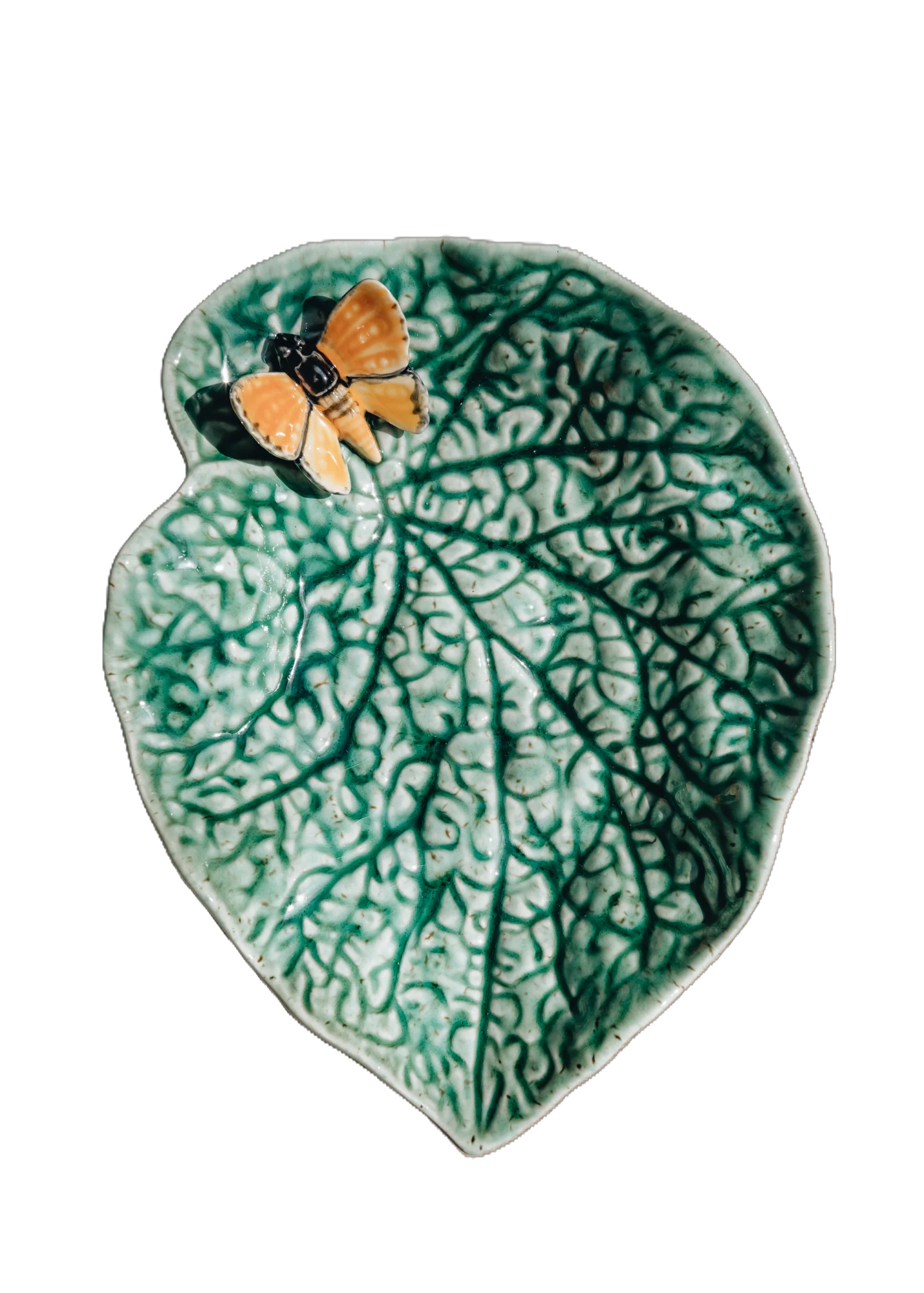 65024054-feuille-begonia-papillon-countryside-leaves-bordallo-pinheiro-2
