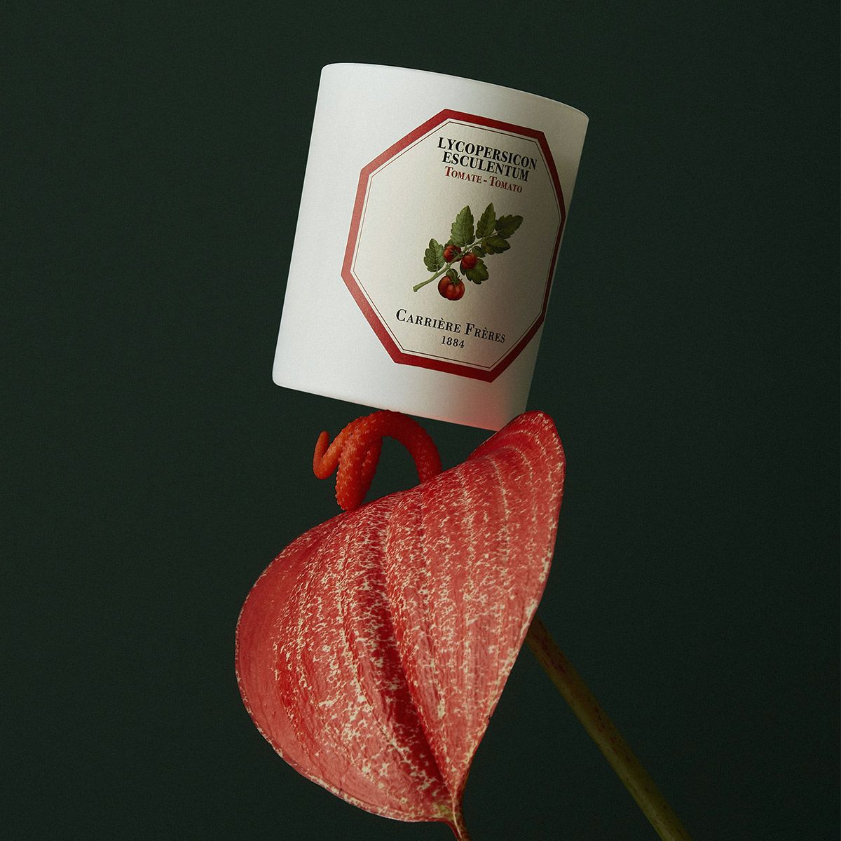 Bougie Tomate 3