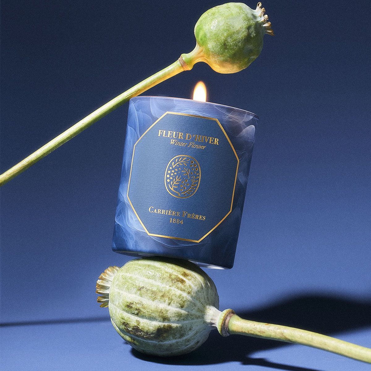 Bougie Fleur dHiver 2
