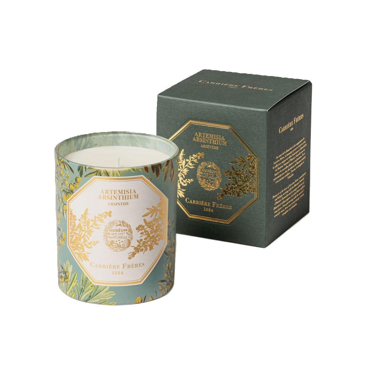 Bougie Absinthe