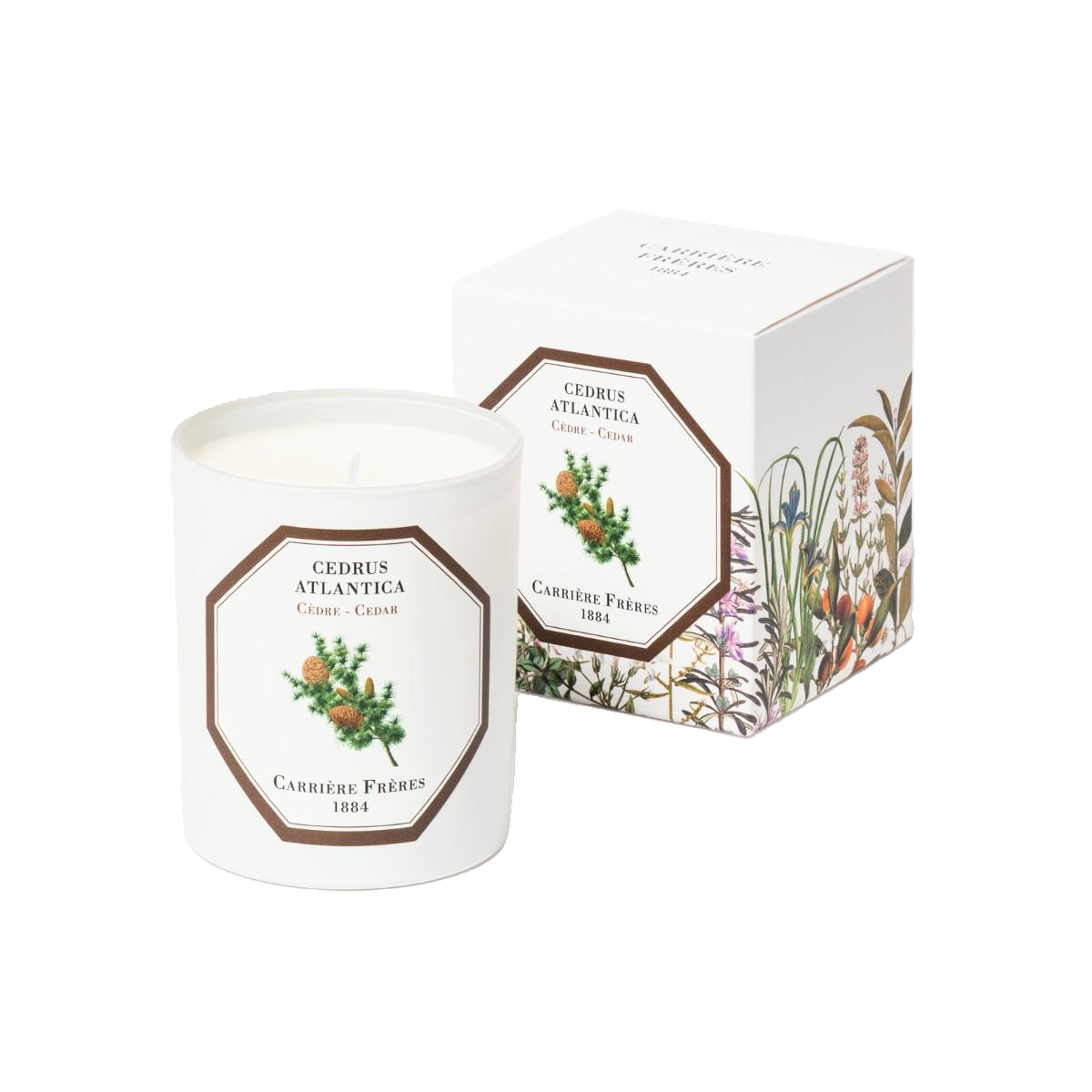 Bougie Cèdre 1