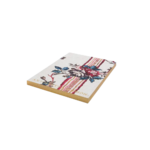 petit-cahier-rayure-provencale-de-cote-scaled