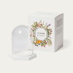 Coffret Dôme 1