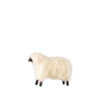 Le Mouton - 1