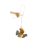 Petit oiseau 1