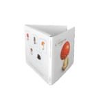 Coffret Cartes Correspondance Champignons 3