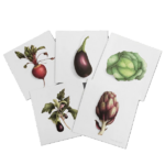 Coffret Correspondance  Cartes Légumes