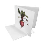 Coffret de Correspondance Cartes Légumes 3
