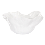25477-Bol-ceramique-blanche-emaillee-d20
