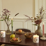 chandelle-parfumee-menthe-verte-carriere-freres2