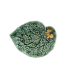 65024054-feuille-begonia-papillon-countryside-leaves-bordallo-pinheiro