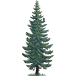 4108-BE-tanne-schmal-sapin-elance-chouette-decoration-etain-wilhelm-schweizer