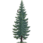 4108-BE-tanne-schmal-sapin-elance-chouette-decoration-etain-wilhelm-schweizer-1