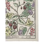 papier-dominote-33A-puits-d-amour-antoinette-poisson-1
