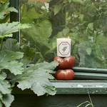 Bougie Tomate 2