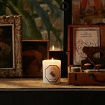 Bougie Cèdre 3
