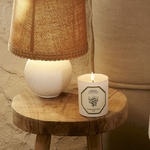 Bougie verveine 2