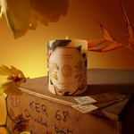 Bougie Frangipanier 2