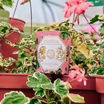 Bougie Géranium 3