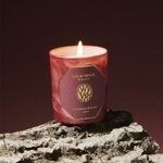 Bougie Feu dHiver 3