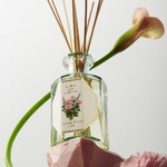 Diffuseur Rose & Menthe 2