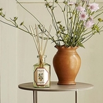 Diffuseur Yuzu 3
