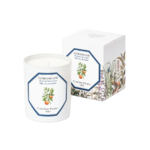 Bougie fleur d'oranger 2