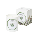 Bougie verveine 1