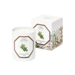 Bougie Cèdre 1