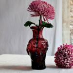 Roma-Avec-Bec-Framboise scaled - 4