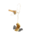 Petit oiseau 1