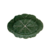 65000752_nova