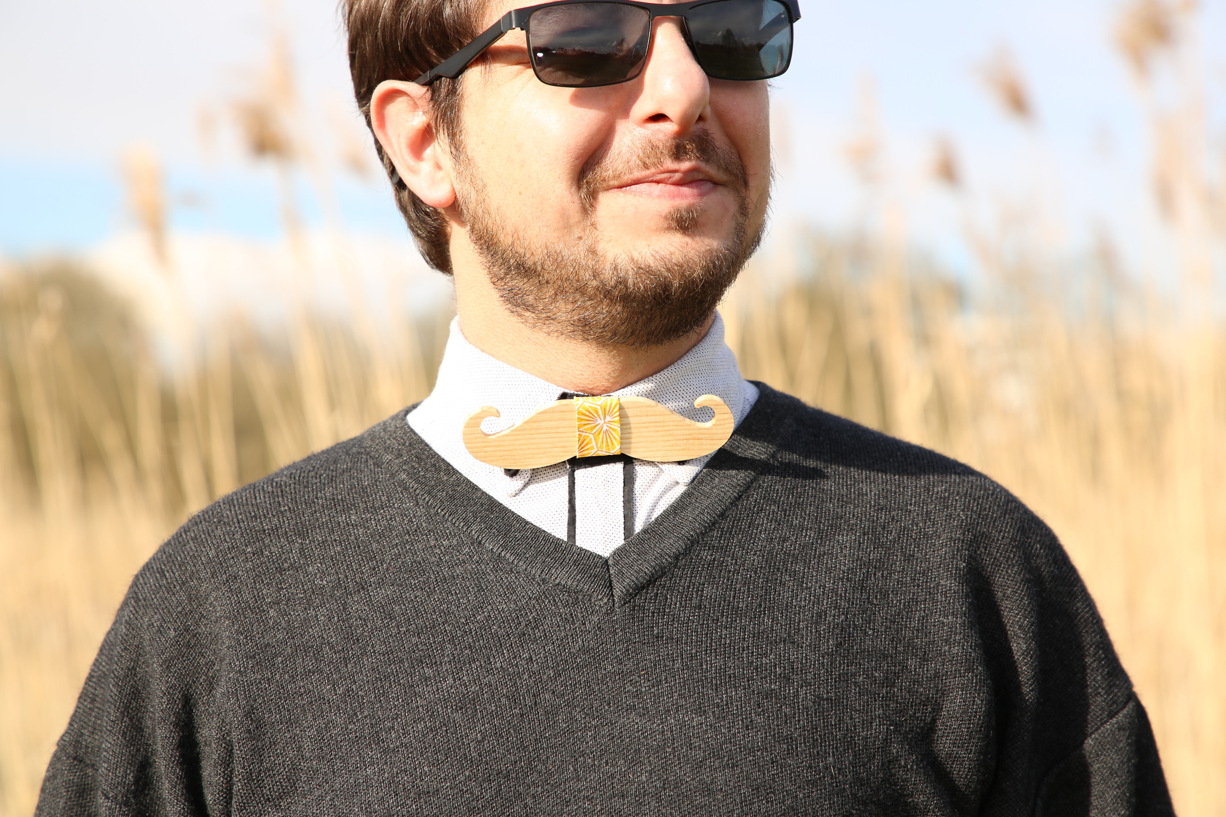 MUSTACHES (2)