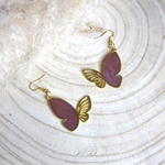 PAPILLIO BOUCLES (2)