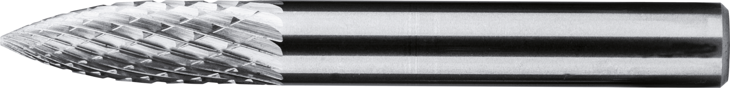 81d201f5-e787-4176-8b3f-dc224cebfaa9