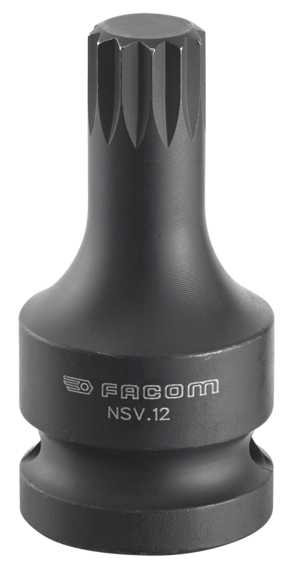 NSV.12