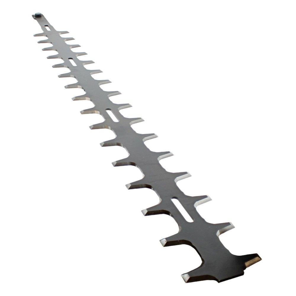 6018505500
