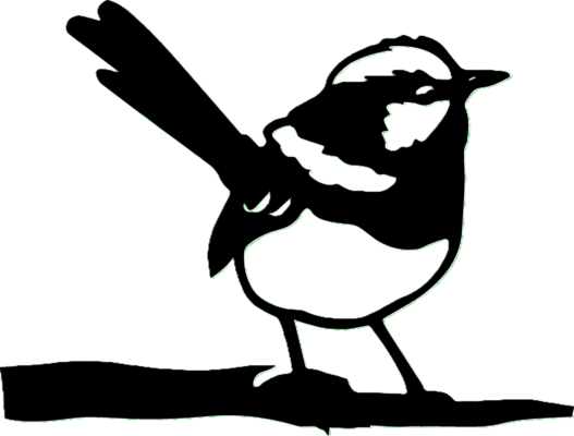 Oiseau-2
