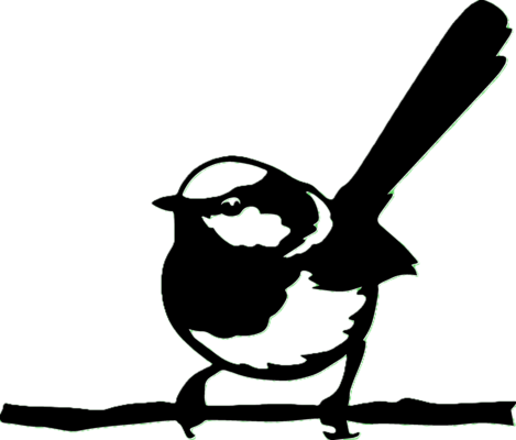 oiseau-3