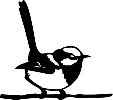 oiseau-4
