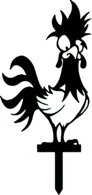 Funny-Chickens