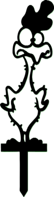 Plucked-chicken