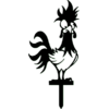 Funny-Chickens