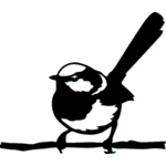 oiseau-3