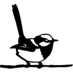 oiseau-4
