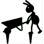 Fourmis-1-PNG