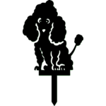Chien-05