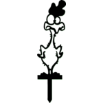 Plucked-chicken