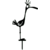 Oiseau-06