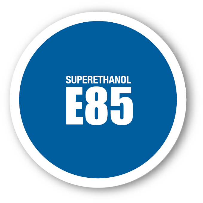 logose85 v2012 web